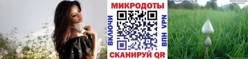 ОМГ ОМГ сайт  хочу наркоту  Михайловка  Псилоцибиновые грибы ЛСД 